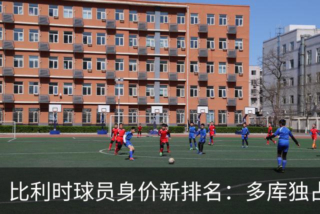 比利时球员身价新排名：多库独占鳌头，帕尔多紧随其后
